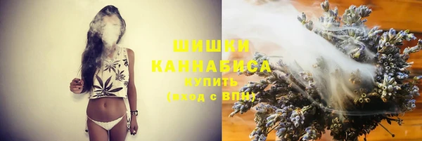 гидропоника Горно-Алтайск