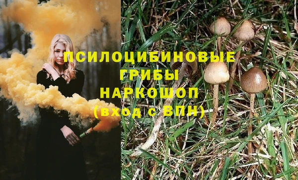 мдпв Володарск