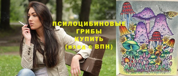 spice Волоколамск