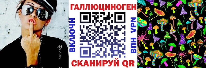 Галлюциногенные грибы Psilocybe mega рабочий сайт Заводоуковск